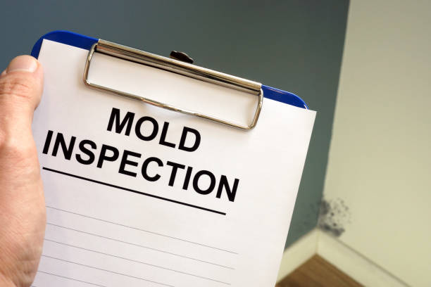 Forensic Mold Investigation in Coram, NY